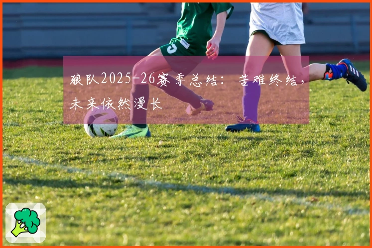 狼队2025-26赛季总结：苦难终结，未来依然漫长